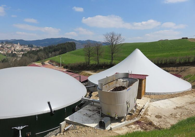 « Le marché du biométhane en France se distingue par sa croissance rapide »