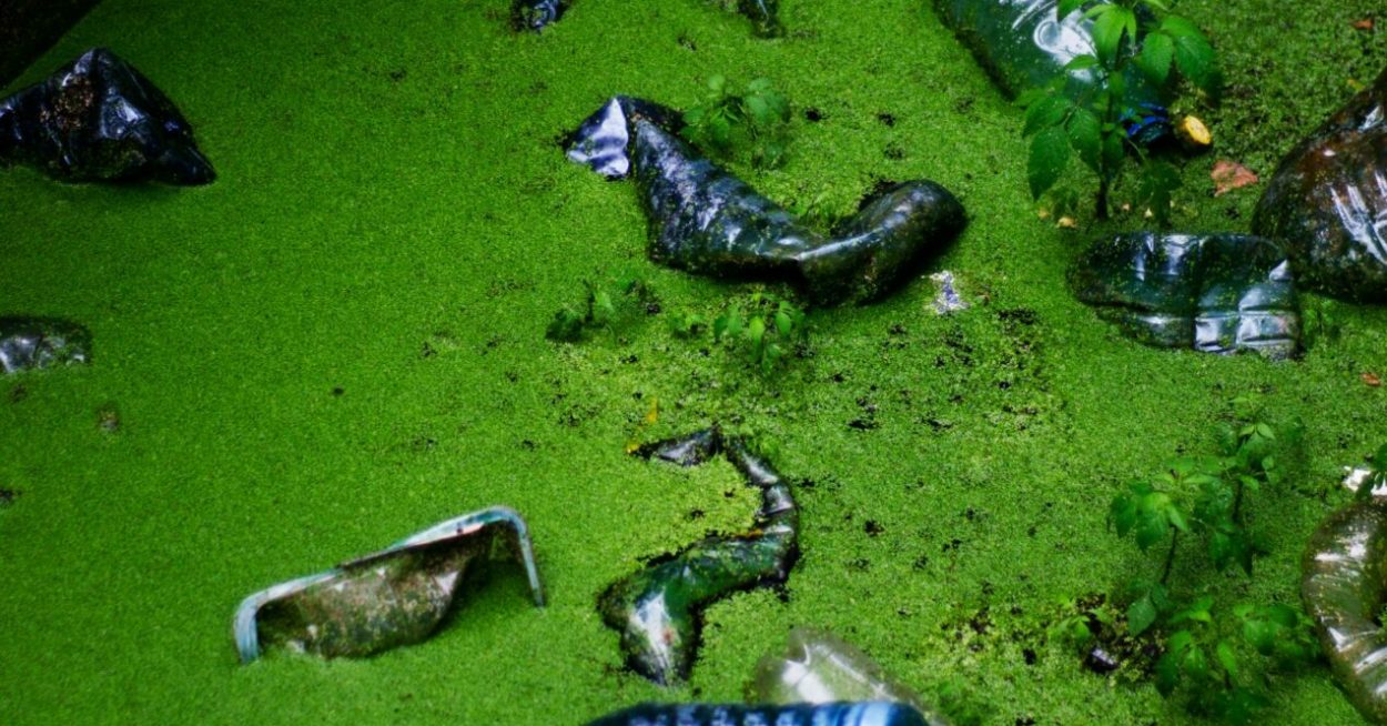Union européenne : assurer un niveau satisfaisant de répression des infractions environnementales