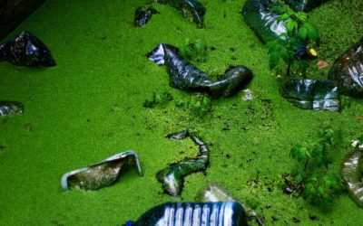 Union européenne : assurer un niveau satisfaisant de répression des infractions environnementales