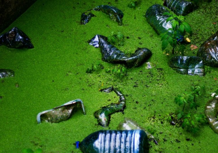 Union européenne : assurer un niveau satisfaisant de répression des infractions environnementales