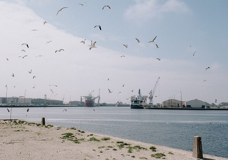 « Les ports sont activement impliqués dans l’effort collectif de décarbonation »