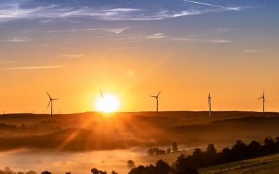 Le Vietnam prône les énergies renouvelables