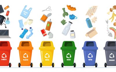 Recycler pour demain : pourquoi chaque geste compte