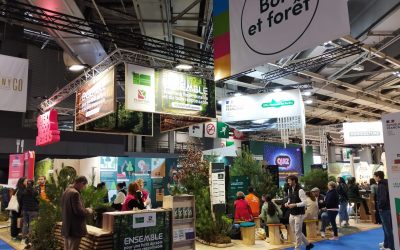 « Le discours que nous portons est celui de la responsabilité de la filière forêt-bois dans la transition écologique », Christelle Chaminadas, chargée de mission développement et animation réseau, Fransylva