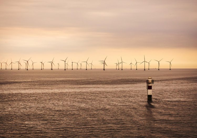 Prix négatifs de l&rsquo;éolien : l&rsquo;État change les règles