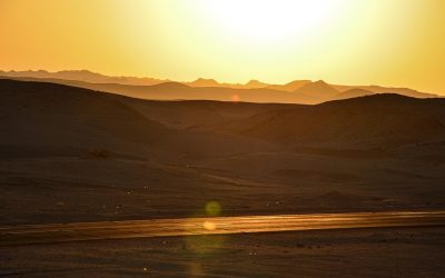 Canicule de juin 2025 : l’Europe sous tension