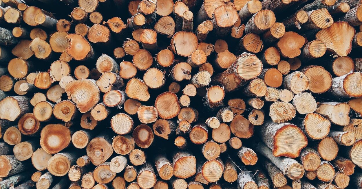 ZAN 2026 : la surélévation en bois, solution technique privilégiée pour densifier la ville