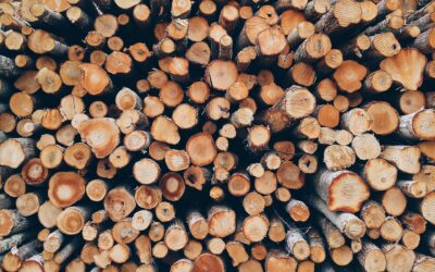 ZAN 2026 : la surélévation en bois, solution technique privilégiée pour densifier la ville