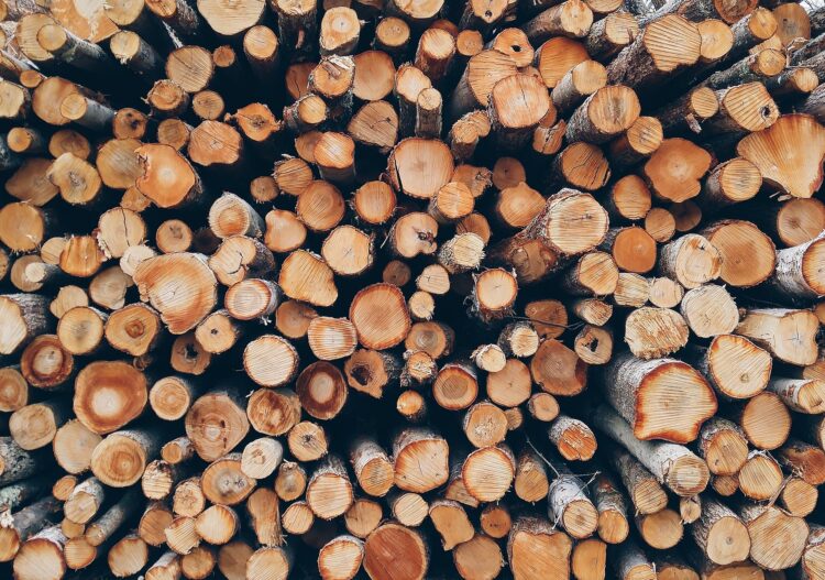 ZAN 2026 : la surélévation en bois, solution technique privilégiée pour densifier la ville